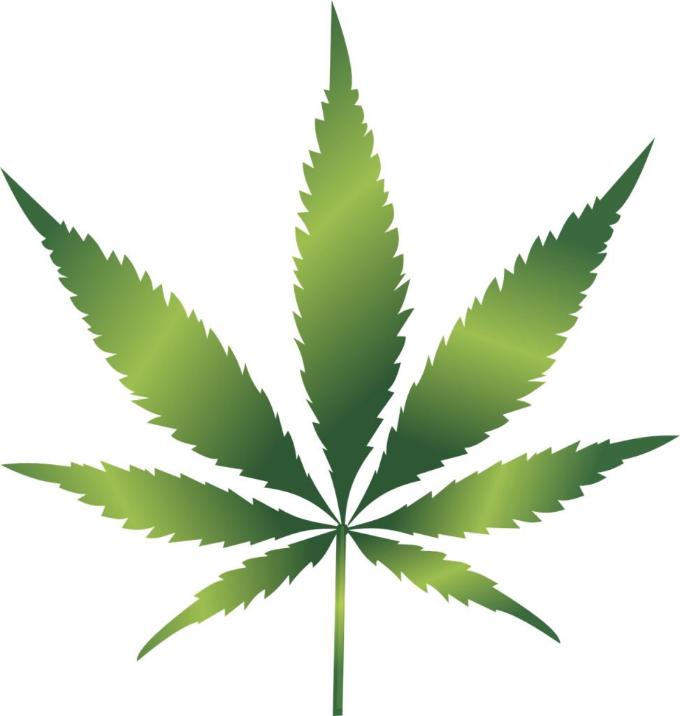 Marijuana - A growing industry