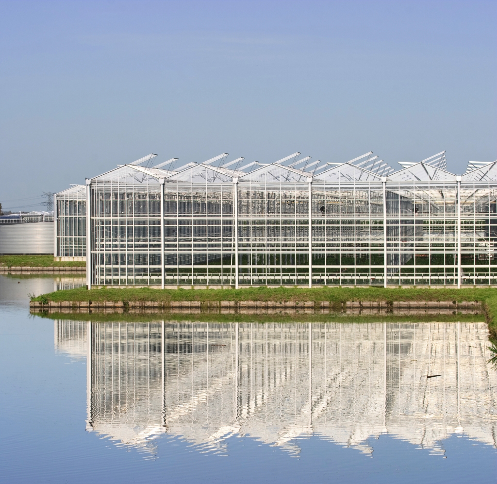 outside of a greenhouse